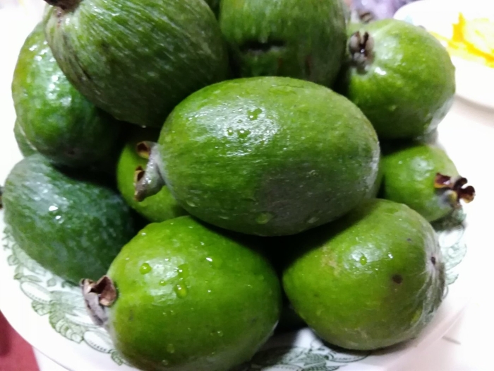 Экзотический фрукт фейхоа
