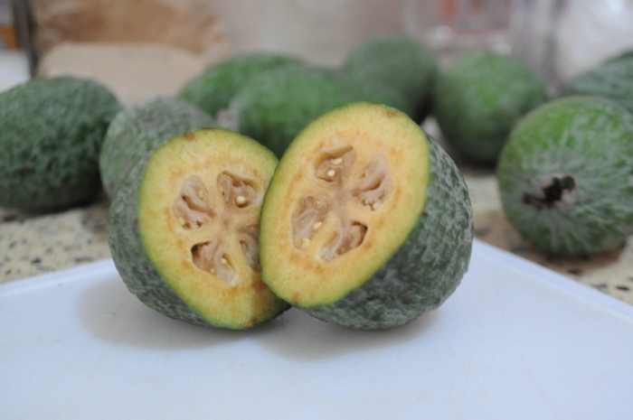 Фей хуа фрукт