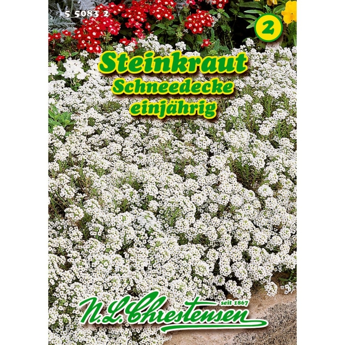 Алиссум снежный ковер