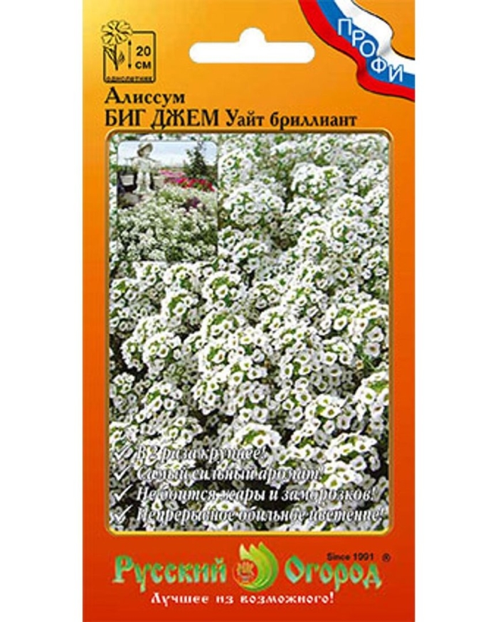 Цветы алиссум биг джем уайт бриллиант (30шт)
