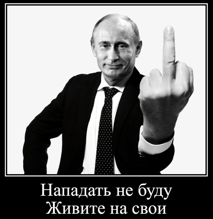 Владимир владимирович путин