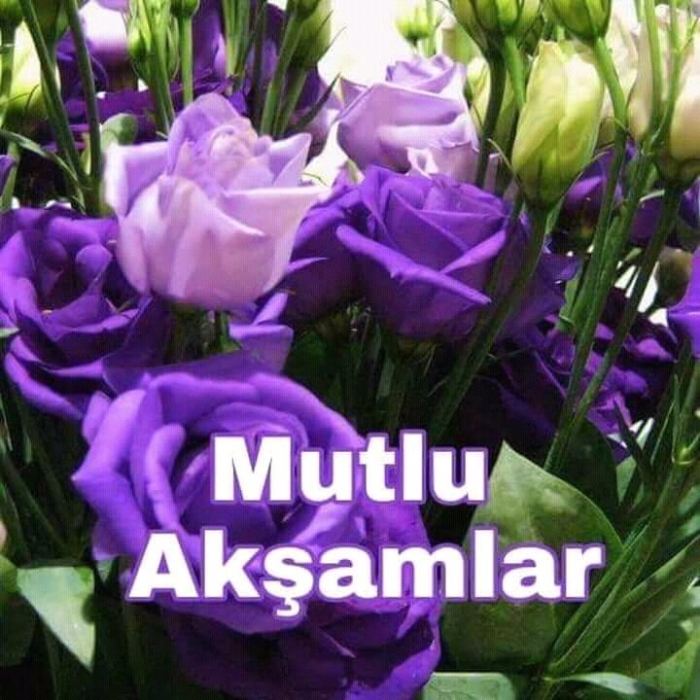Mutlu akşamlar