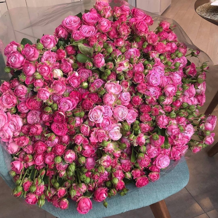 Роза кустовая мелкоцветковая розовая