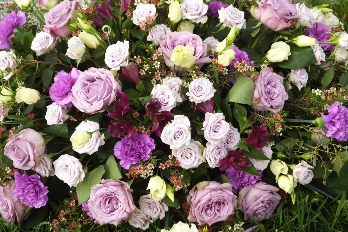 Роза эустома