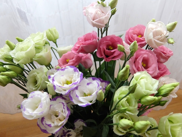 Эустома кармен лилак