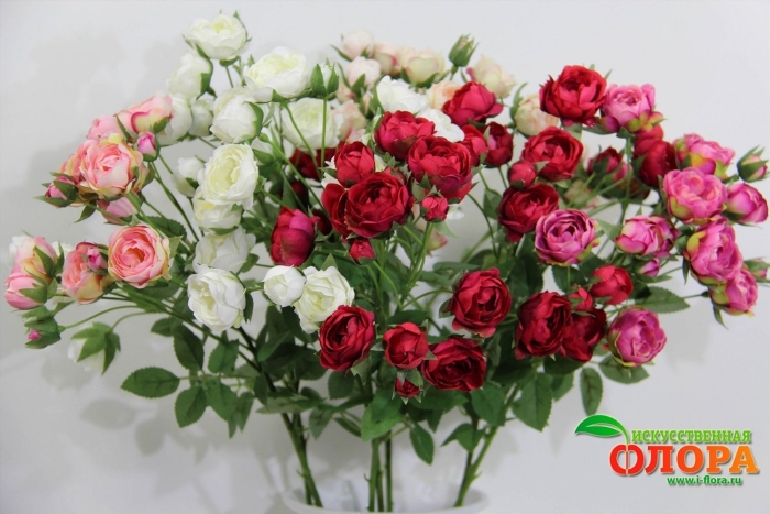 Роза мелкоцветковая кустовая