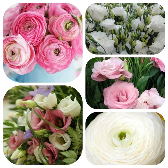 Пионы и ранункулюсы