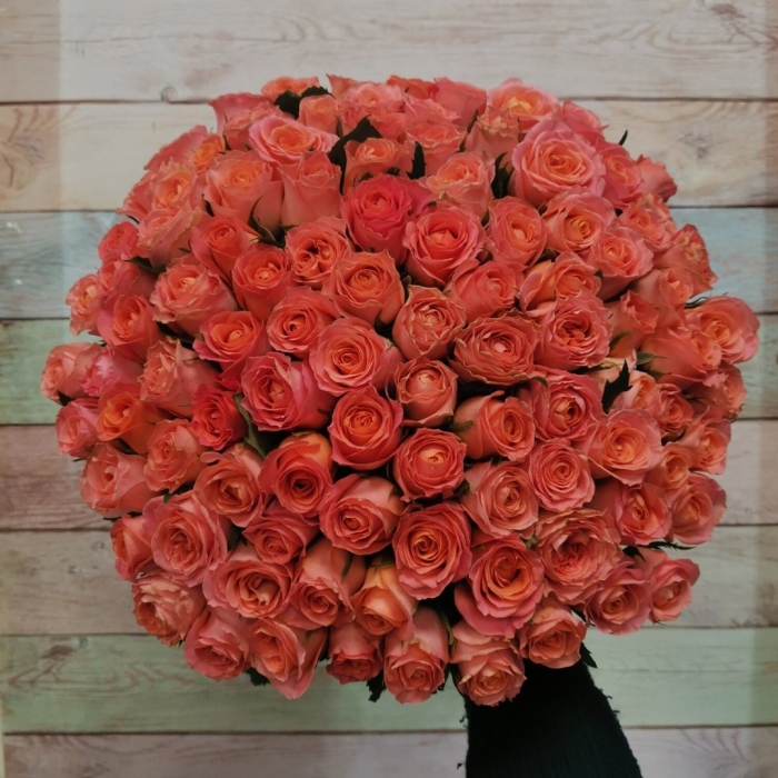 101 роза мисс пигги