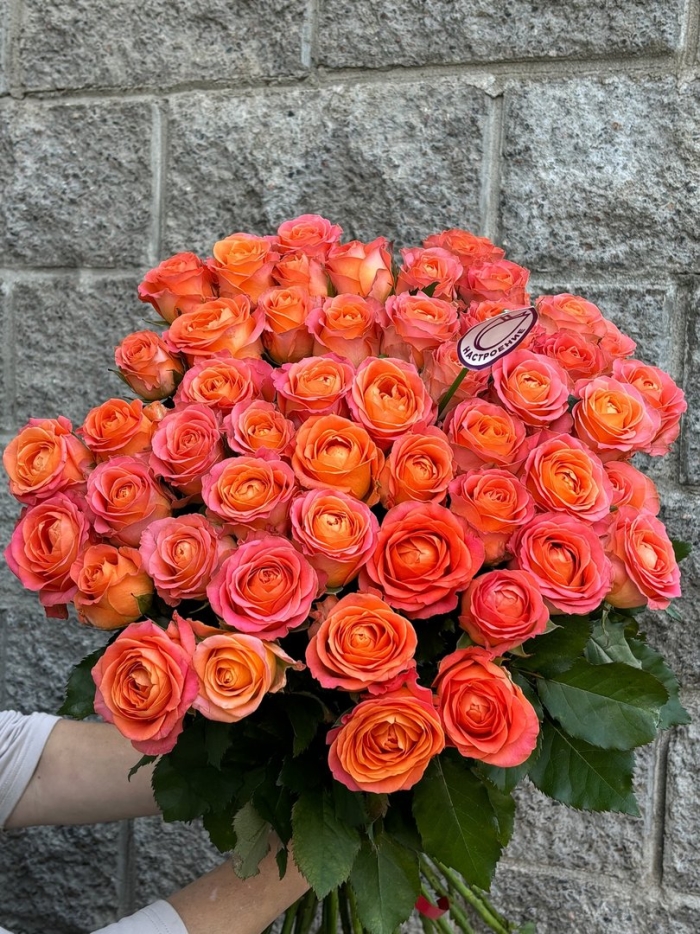 Букет 501 роза