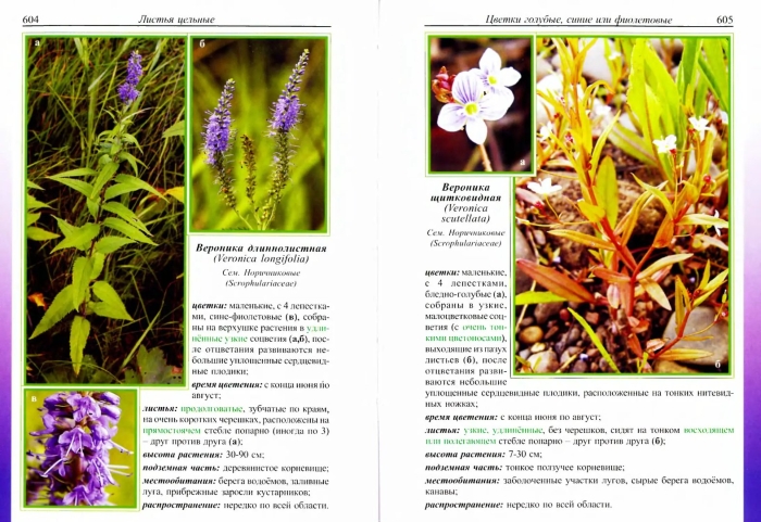 Атлас дикорастущих растений ленинградской области