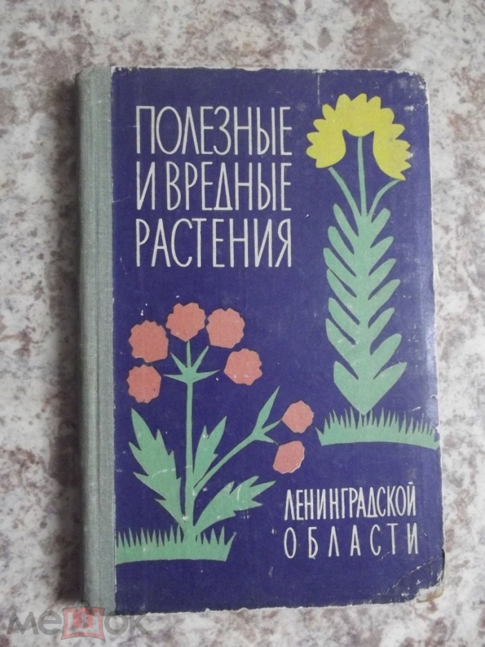 Растения ленинградской области