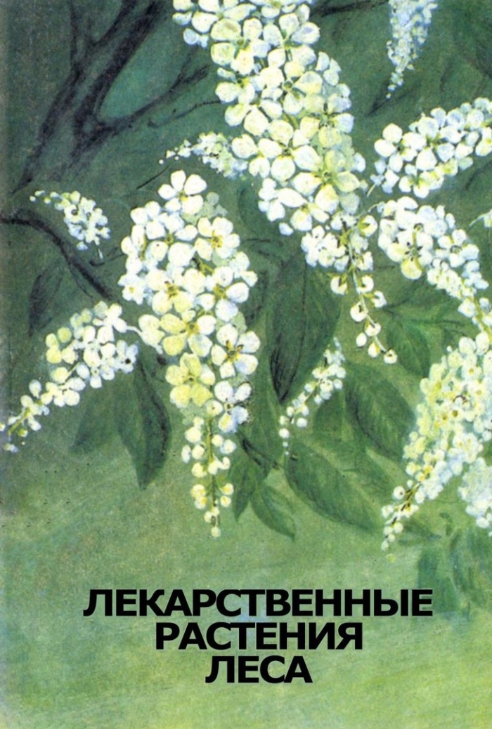 Растения лекарственные