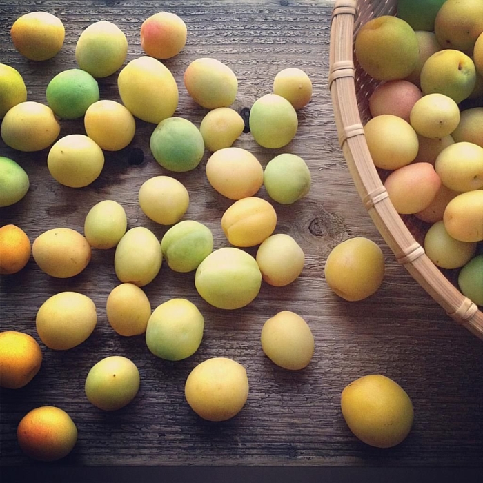 Зеленые абрикосы