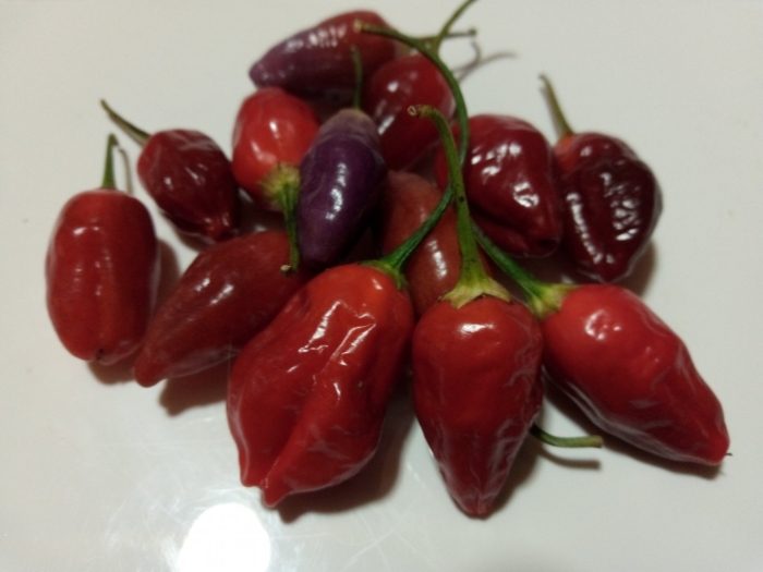 Маленький острый перец