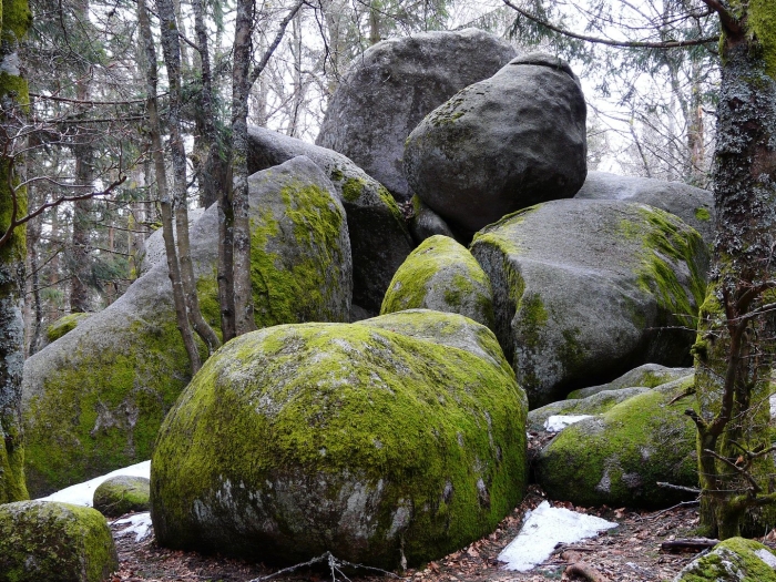 Moss covered rock