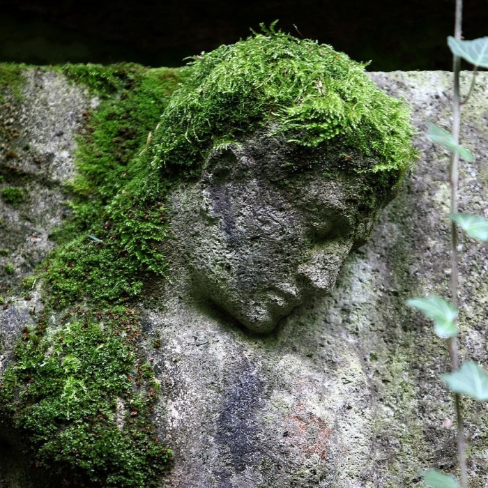 Статуя во мху