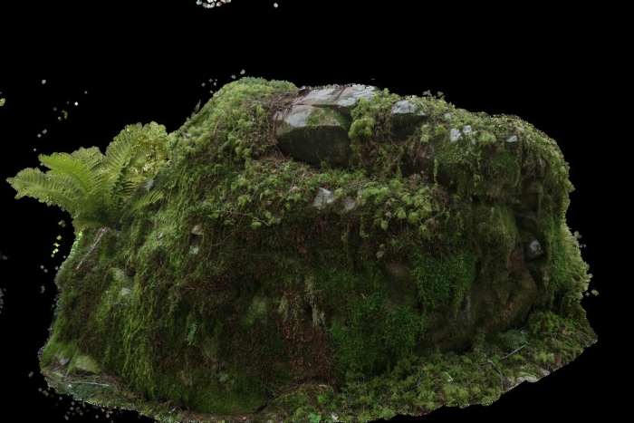 Камень со мхом