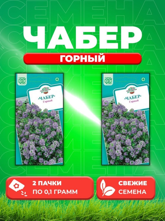 Чабер горный гавриш