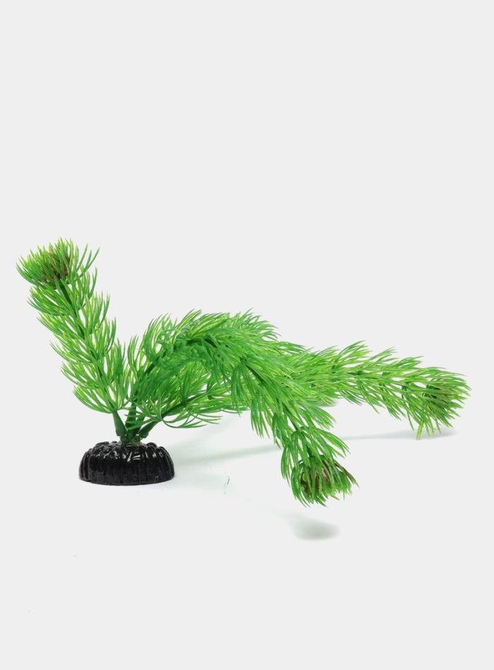 Растение пластиковое 10см барбус