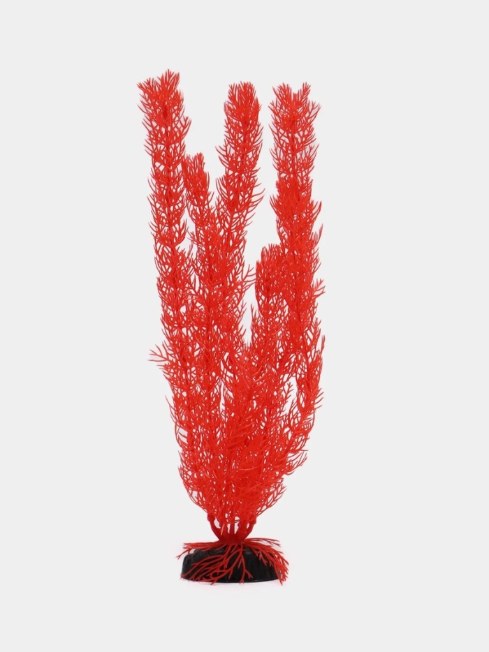 Роголистник коралловый пластиковое растение barbus plant 016