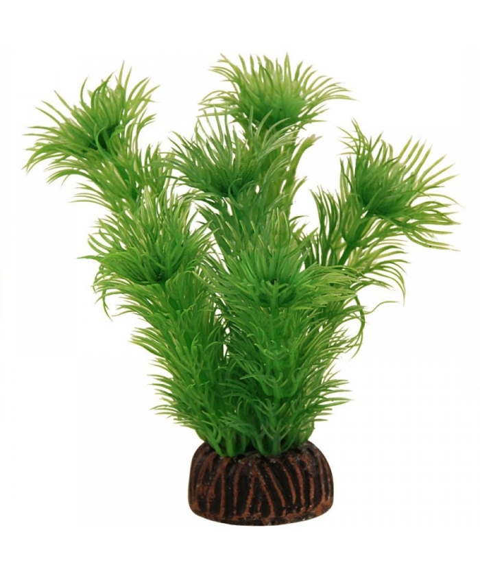 Растение для аквариума triol laguna амбулия