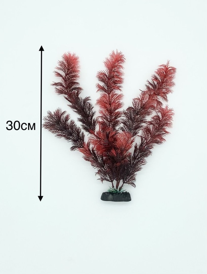 Растение для аквариума laguna амбулия