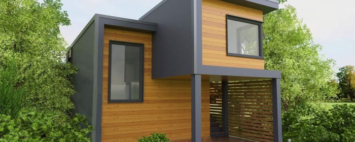 Минидом домильон проект