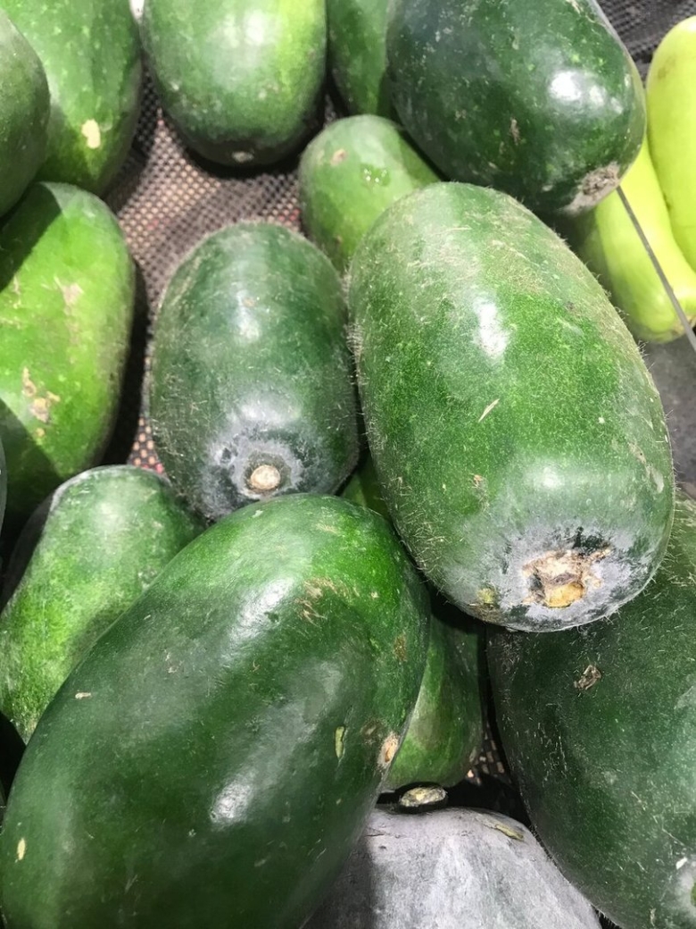 Китайский кабачок