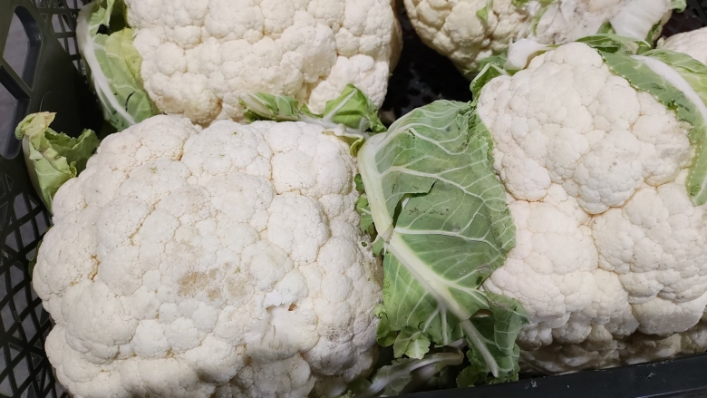 Поставщики овощей