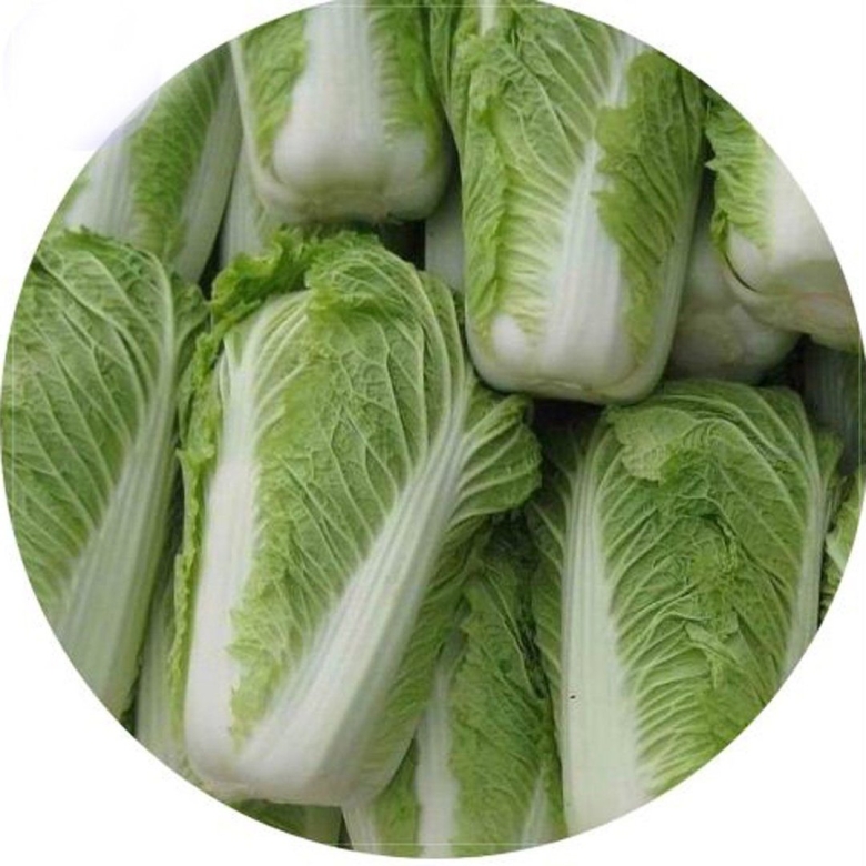 Капуста пекинская маноко f1