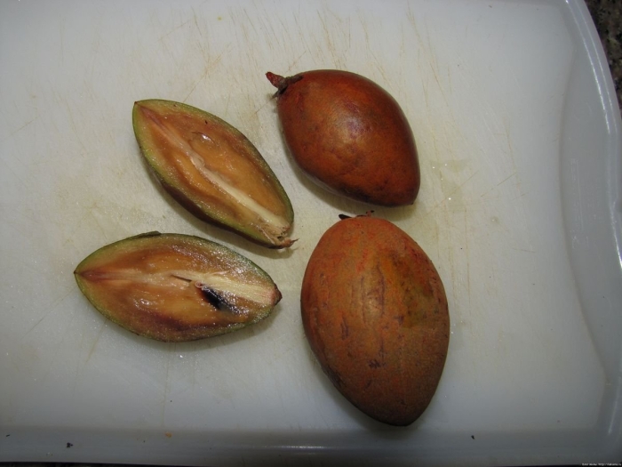 Саподилла косточка фрукт