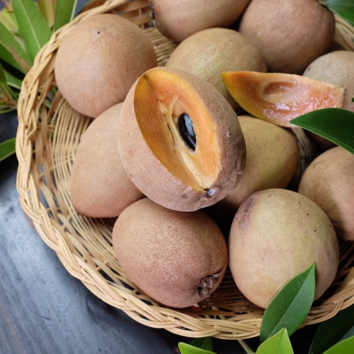 Саподилла фрукт