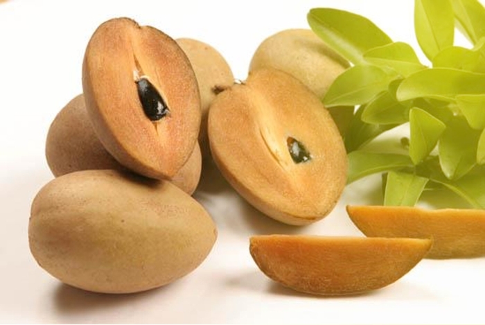 Саподилла фрукт