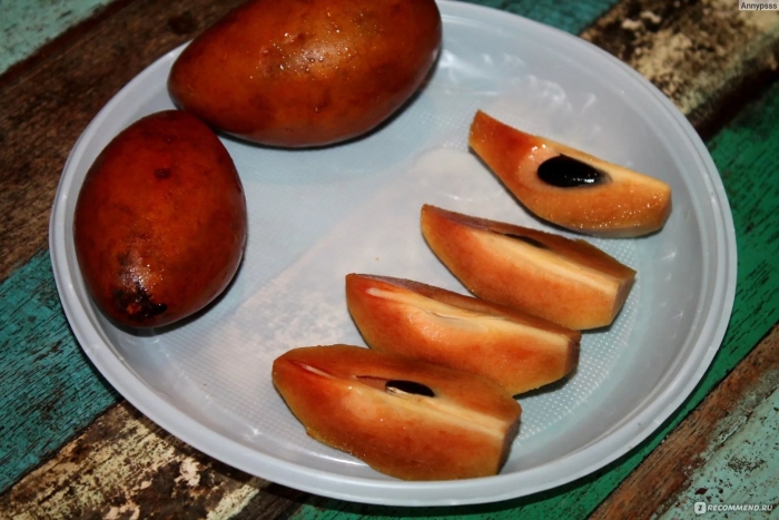 Саподилла плод