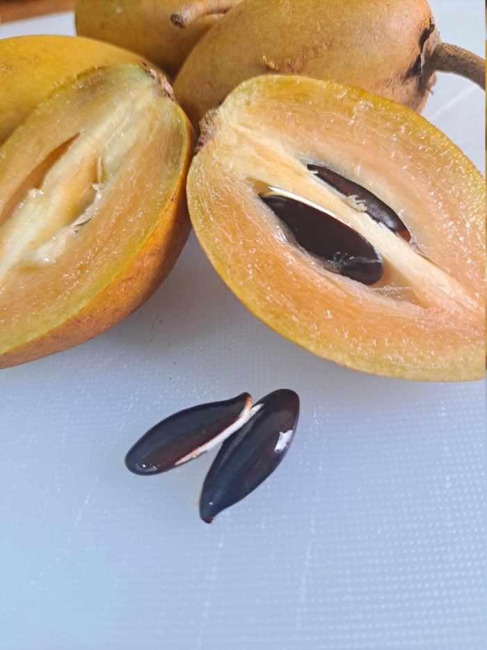 Экзотические фрукт