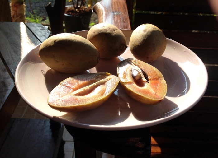 Саподилла косточки