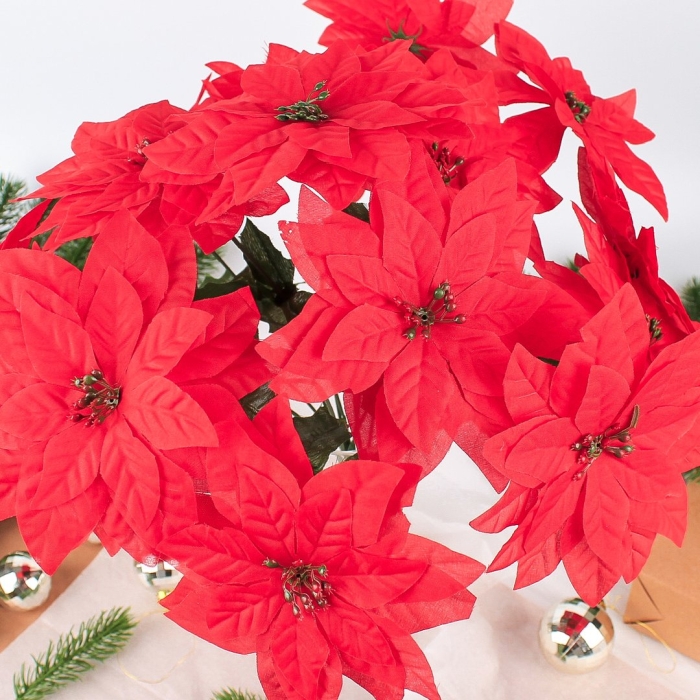 Пуансеттия рождественская звезда