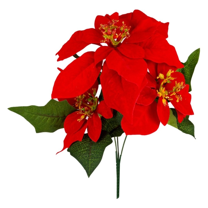 Букеты с пуансетией