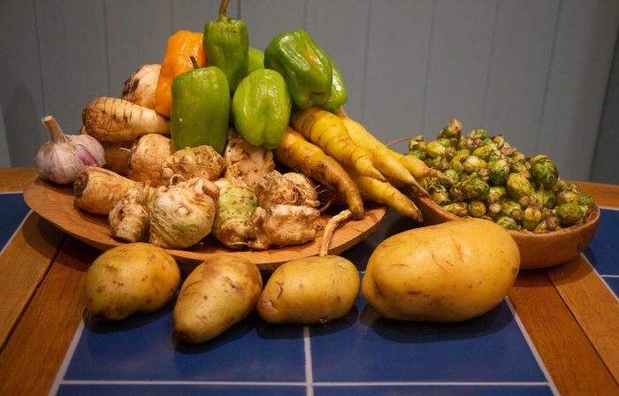 Семенной картофель