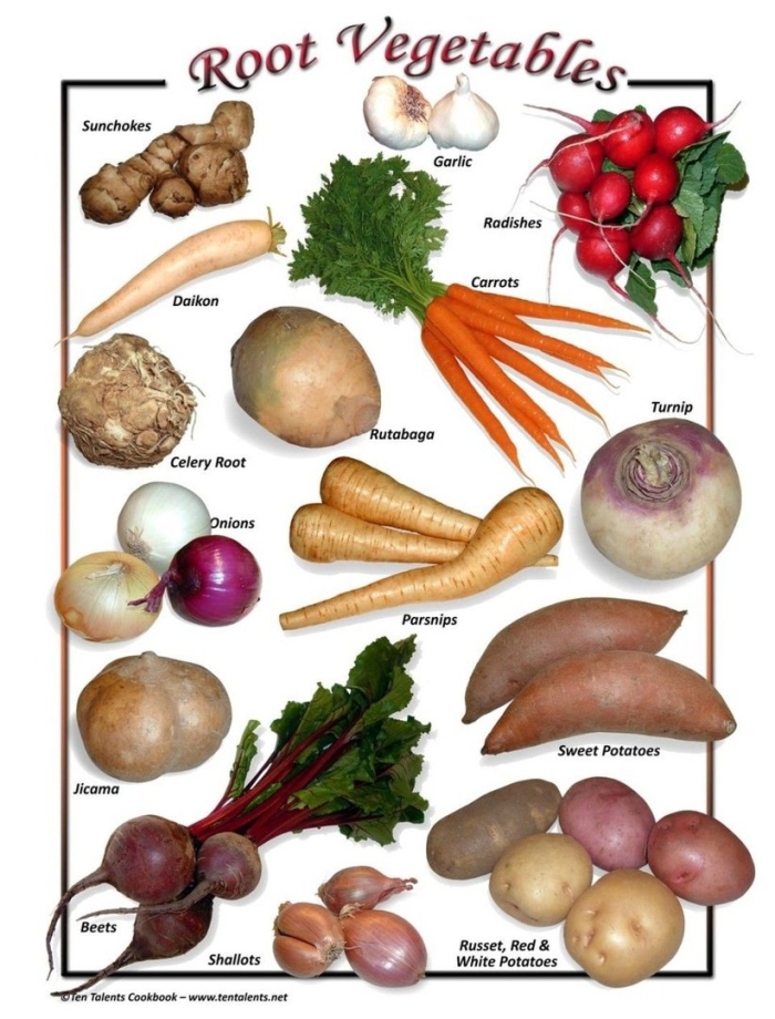 Root vegetable