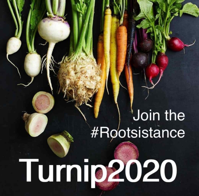 Овощные корнеплоды