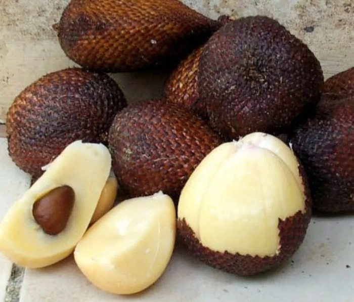 Змеиный фрукт салак