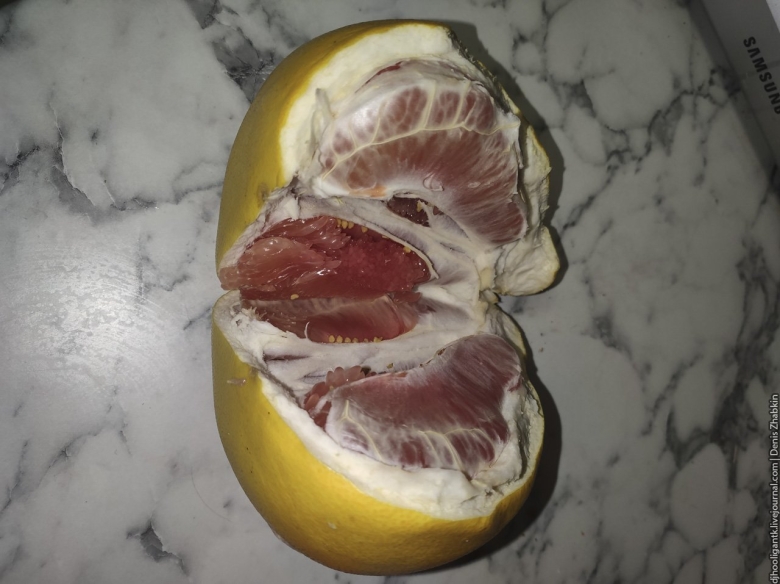 Помело фрукт внутри