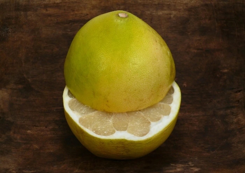 Памела цитрус