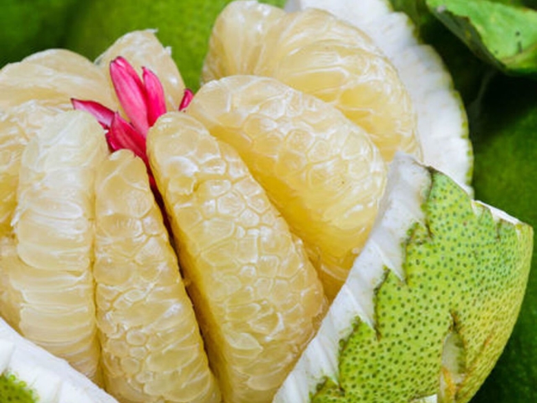 Памела цитрус