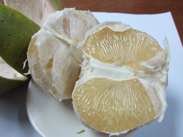 Помело цитрусовые