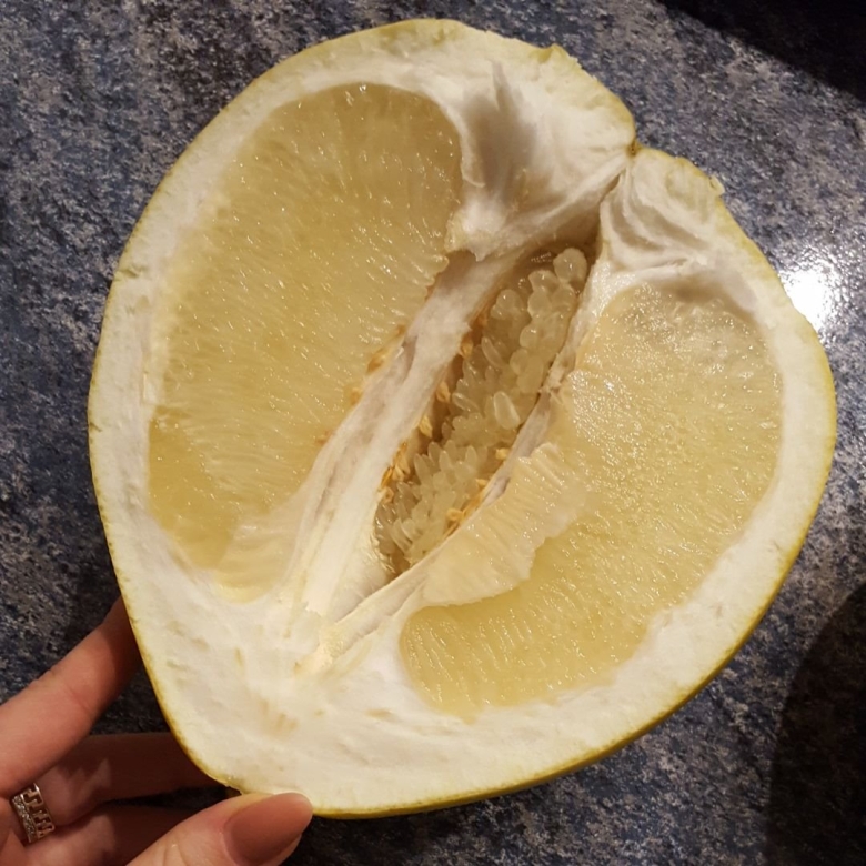 Pomelo одежда