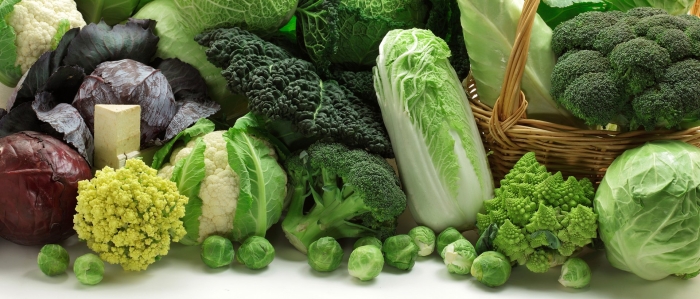 Сорт капусты