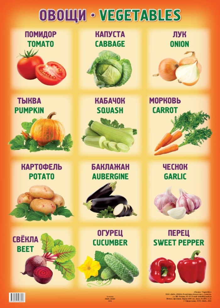 Обучающие плакаты английский