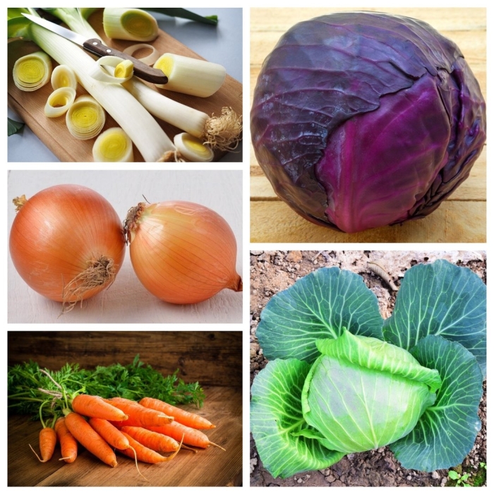 Виды овощей